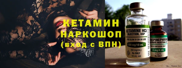 гашик Пересвет