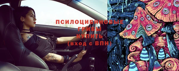 гашик Пересвет