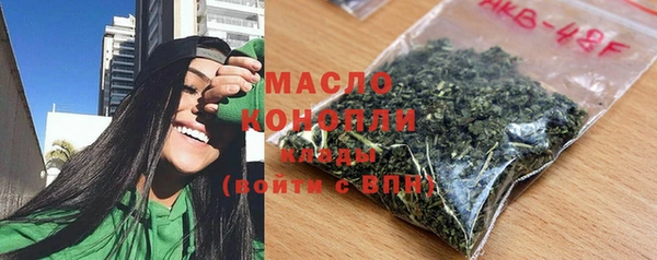 гашик Пересвет