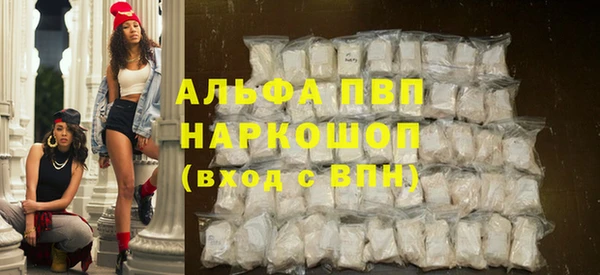 гашик Пересвет