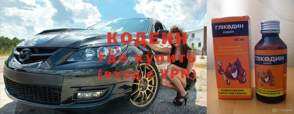 гашик Пересвет