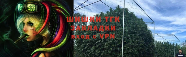 стафф Нефтегорск