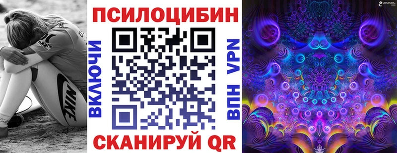 закладки  Суздаль  Псилоцибиновые грибы Magic Shrooms 